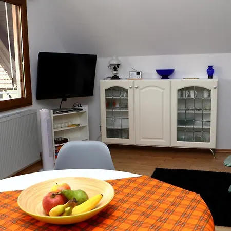 Schneider Appartement Durbach