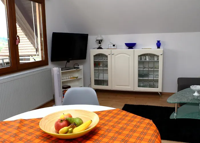 Schneider Appartement Durbach